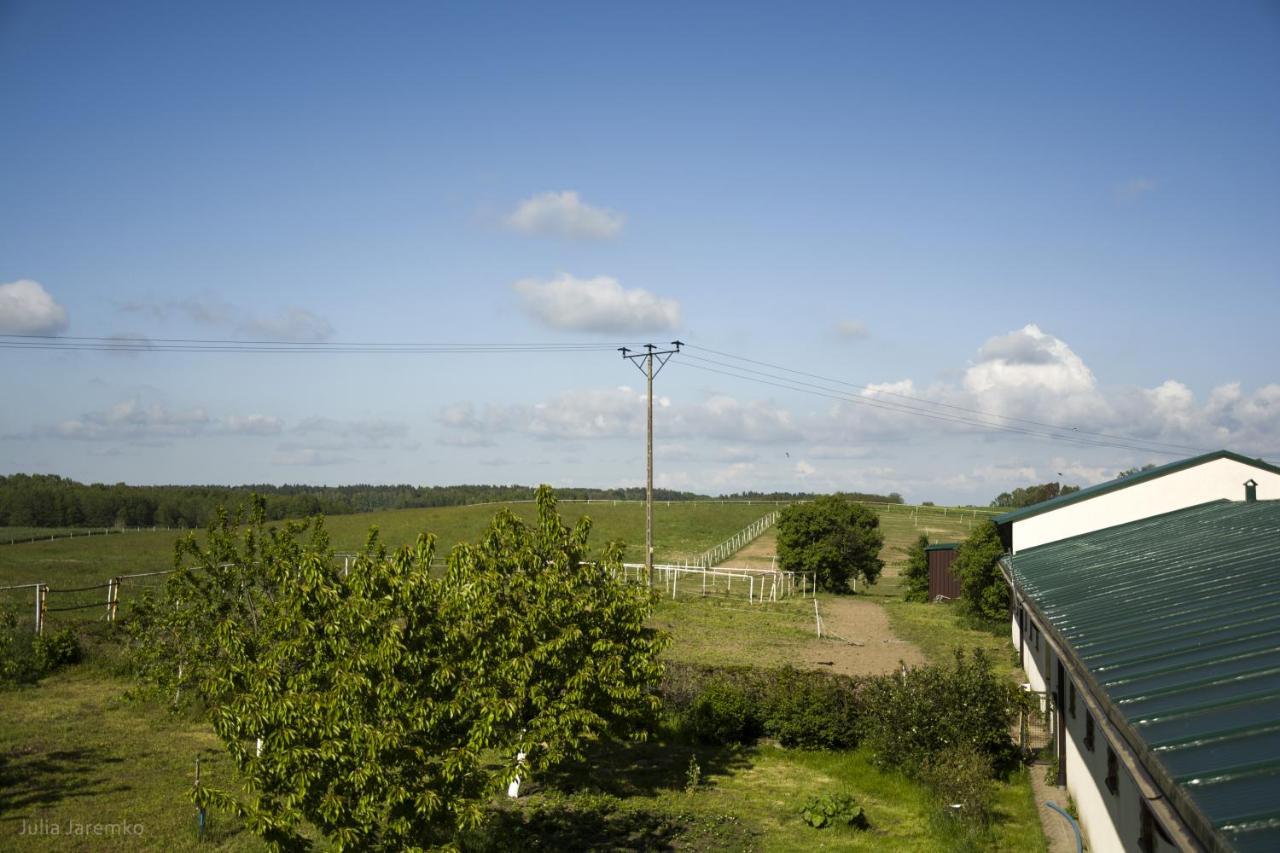 Lesne Zacisze Villa Iława Eksteriør bilde