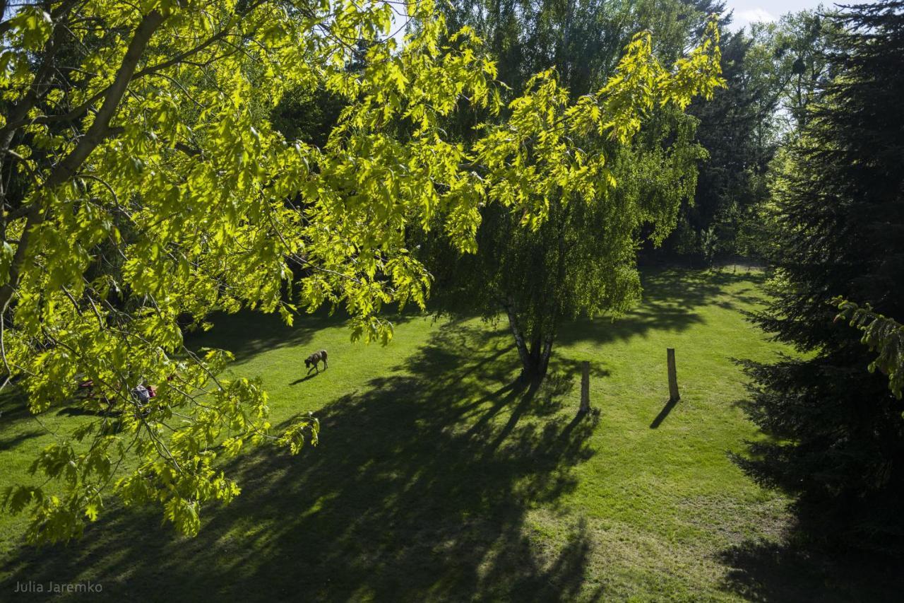 Lesne Zacisze Villa Iława Eksteriør bilde